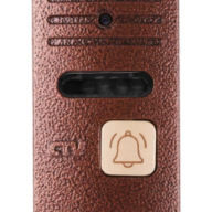 Вызывная панель CTV-D10 Plus Bronze